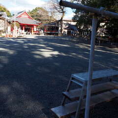 投稿日:2025年9月25日 写真