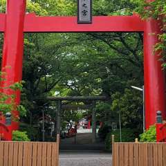 写真