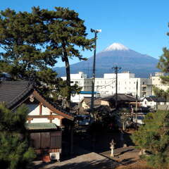 投稿日:2025年7月24日 写真