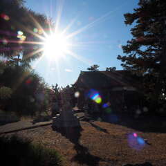 投稿日:2025年7月24日 写真