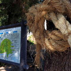 投稿日:2025年6月22日 写真