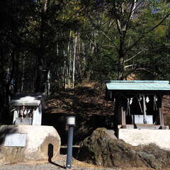 投稿日:2025年6月22日 写真