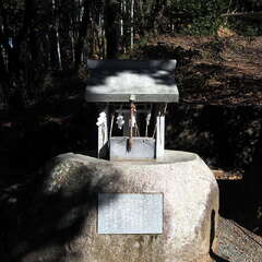 投稿日:2025年6月22日 写真