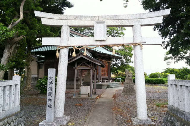 写真