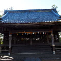 投稿日:2025年8月1日 写真