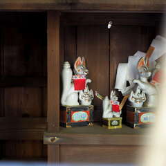 投稿日:2025年8月1日 写真