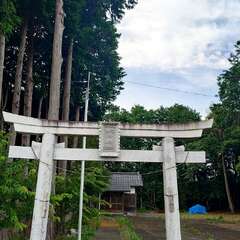 写真