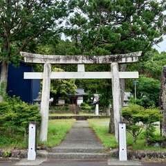 写真