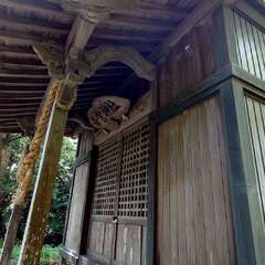 写真