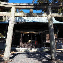 投稿日:2025年6月10日 写真