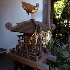 投稿日:2025年6月10日 写真