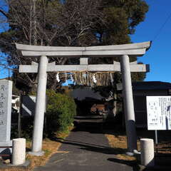 写真