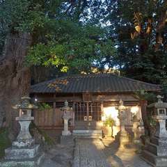 八幡神社(投稿日:2025年1月1日) 写真