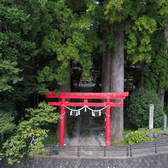 投稿日:2024年10月3日 写真