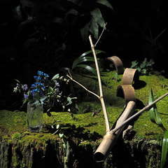 投稿日:2024年10月3日 写真