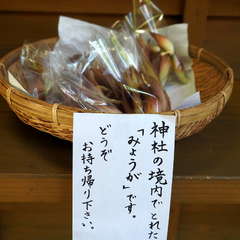 投稿日:2024年10月3日 写真