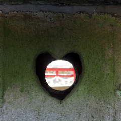 投稿日:2024年10月3日 写真