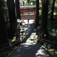 投稿日:2024年10月3日 写真