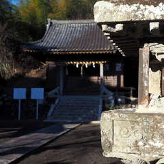 投稿日:2025年7月20日 写真