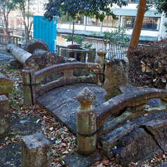 投稿日:2025年7月20日 写真