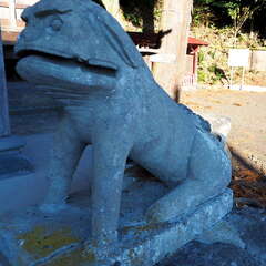 投稿日:2025年7月20日 写真