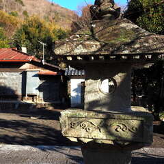 投稿日:2025年7月20日 写真