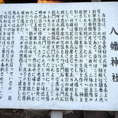 投稿日:2025年7月20日 写真