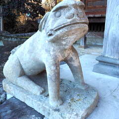 投稿日:2025年7月20日 写真