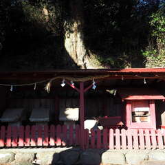 投稿日:2025年7月20日 写真