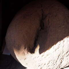 投稿日:2025年7月20日 写真