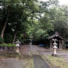 写真
