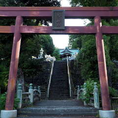 投稿日:2025年6月15日 写真