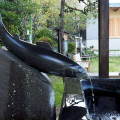 投稿日:2025年6月15日 写真