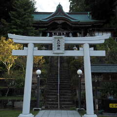 投稿日:2025年6月15日 写真