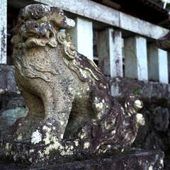 投稿日:2025年6月15日 写真