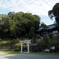 投稿日:2025年6月15日 写真