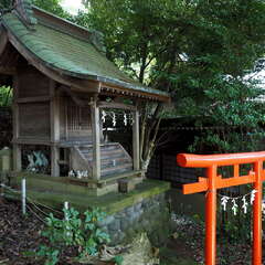 投稿日:2025年6月15日 写真