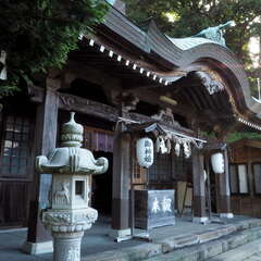 投稿日:2025年6月15日 写真