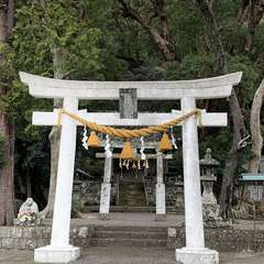 白田川の守護神(投稿日:2020年2月23日) 写真