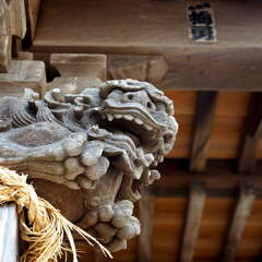 投稿日:2025年6月8日 写真