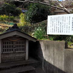 投稿日:2025年6月8日 写真