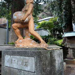 投稿日:2025年6月8日 写真