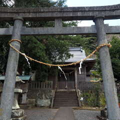 写真