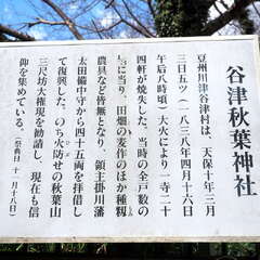 投稿日:2025年6月8日 写真