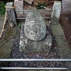 投稿日:2025年6月8日 写真