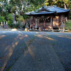 投稿日:2025年6月8日 写真