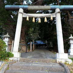 写真
