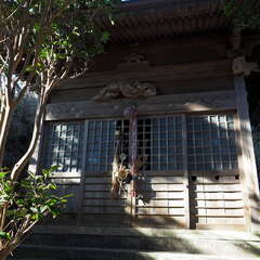 写真