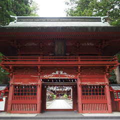 投稿日:2024年8月24日 写真