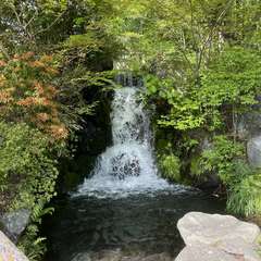 投稿日:2021年5月1日 写真